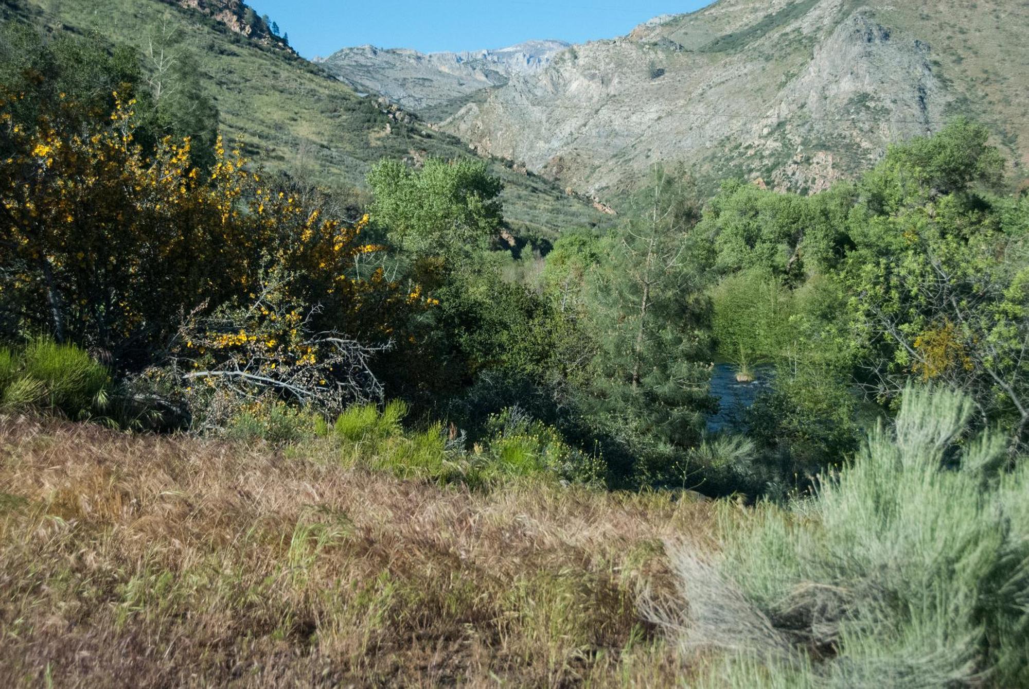 Corral Creek Kernville